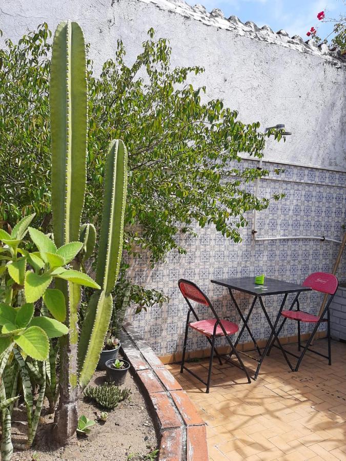 ريو دي جانيرو Arpoador Gallery Hostel المظهر الخارجي الصورة